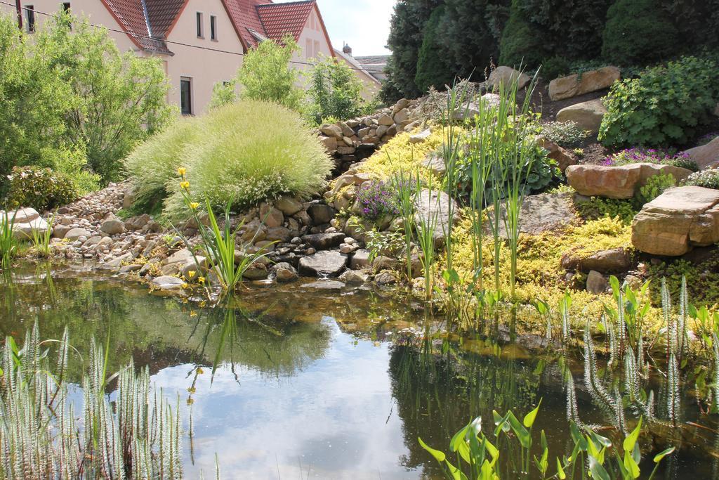 Hotel Schlossblick Trebsen Exteriér fotografie
